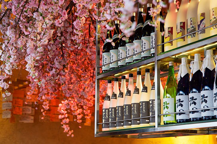 tips for how to drink sake